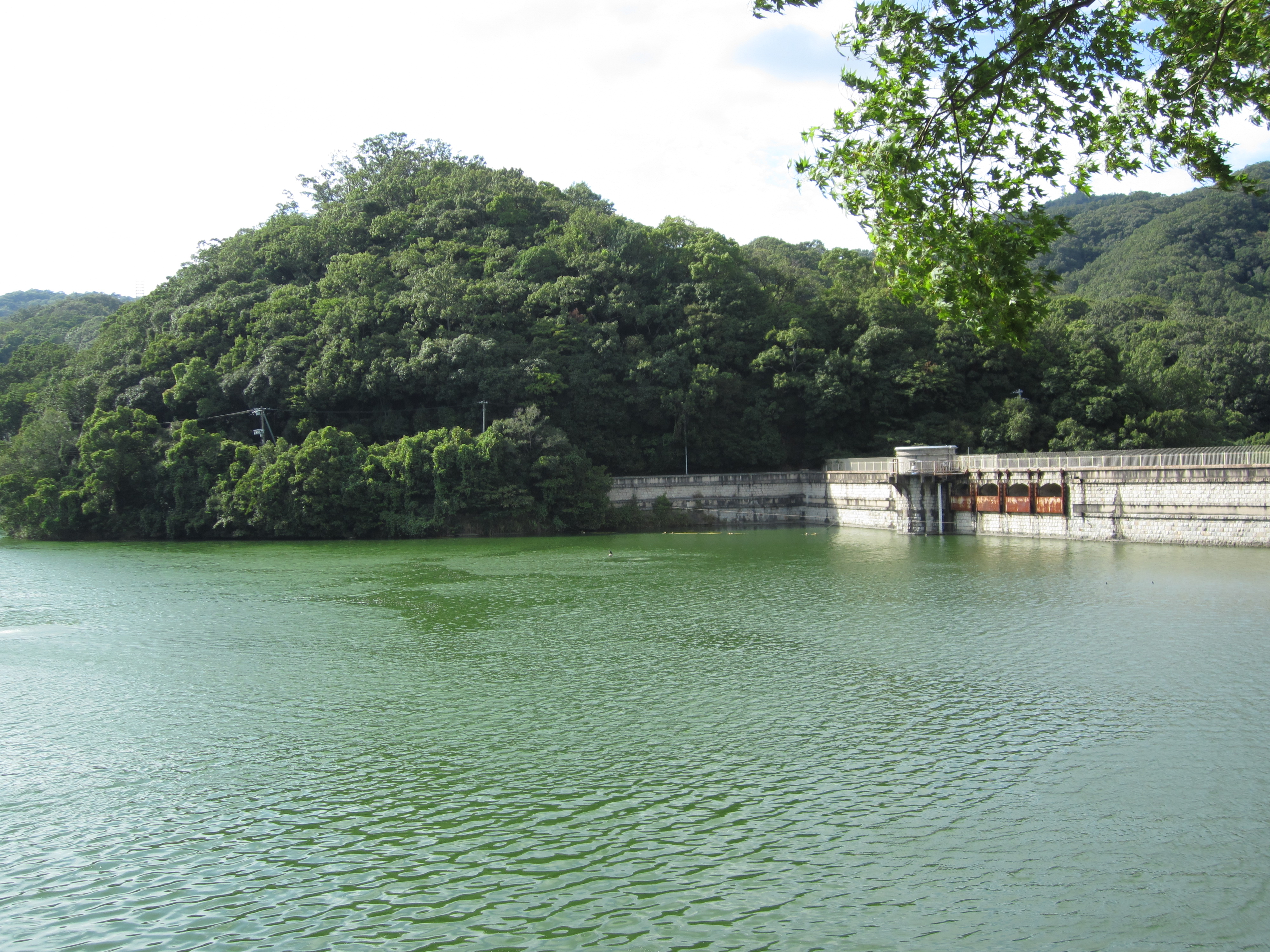 烏原貯水池の風景